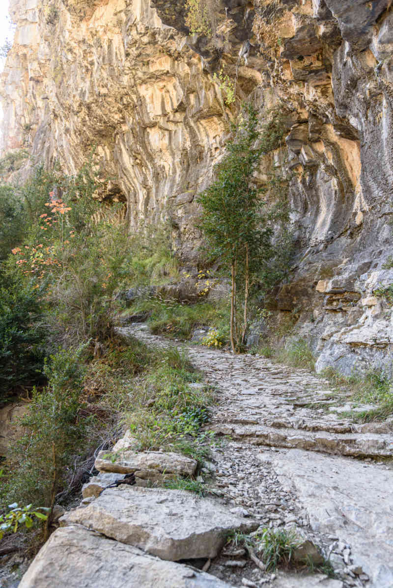 Huesca - parque nacional de Ordesa y Monte Perdido - valle de Añisclo 77 - cañon de Añisclo - sendero.jpg